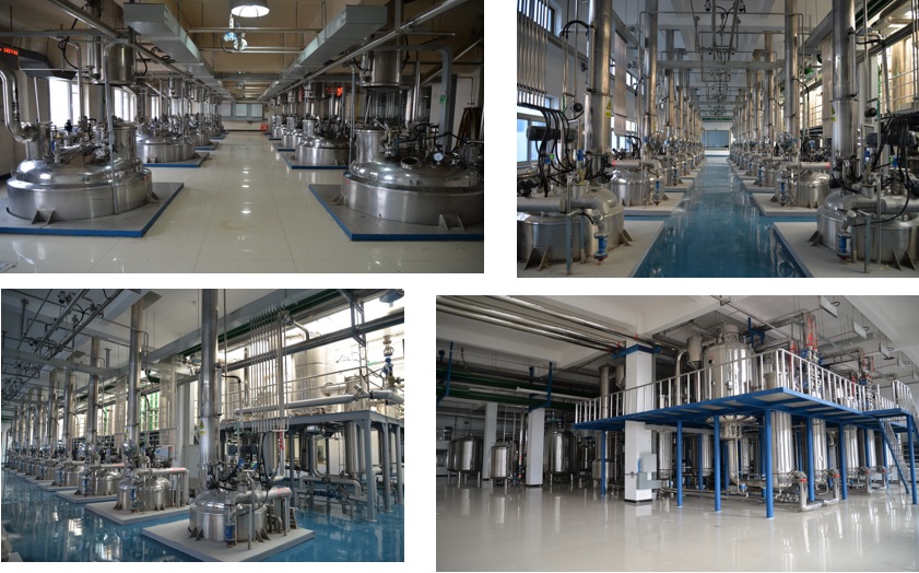 云顶集团·(中国区)官方网站