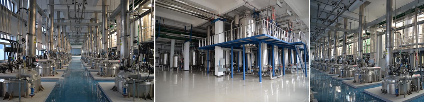 云顶集团·(中国区)官方网站